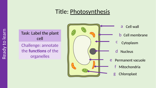 Photosynthesis GCSE AQA Biology (whole topic)