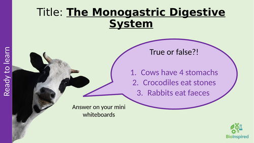 Monogastric Digestive System T Level Animal Care and Management