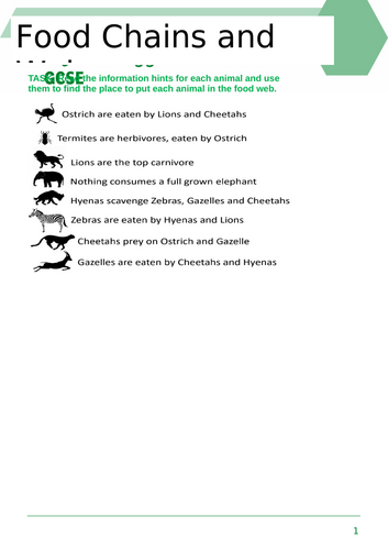 KS3 Year 8 - Biology - Ecosystems Processes - Food Chains & Webs ...