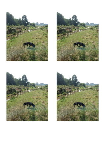 Creating a detailed description