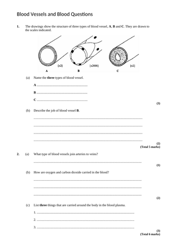 KS4 Year 9 - Systems - Blood Vessels
