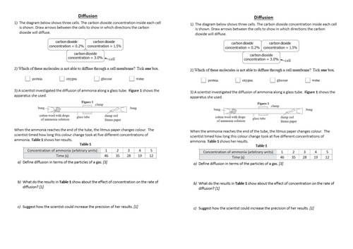 KS4 Year 9 - Exchange - Diffusion | Teaching Resources