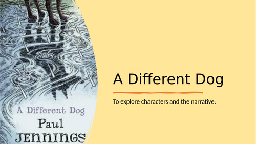 English Tasks based on the novel: A Different Dog