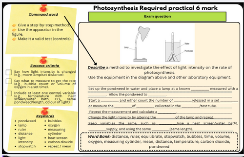 GCSE Biology Required Practical: Photosynthesis (6 Mark Question Practice)