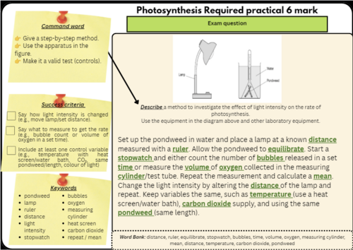 GCSE Biology Required Practical: Photosynthesis (6 Mark Question Practice)