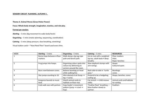 A year's supply of sensory circuit planning