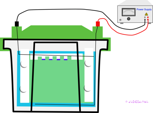 SDS polyacrylamide gel electrophoresis