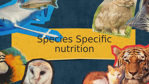 Nutrition of Different Taxa