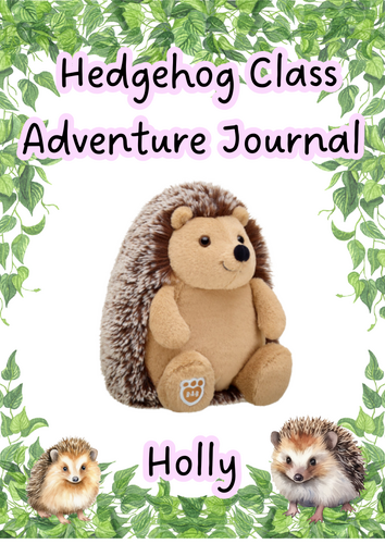 Hedgehog Class Bear Book