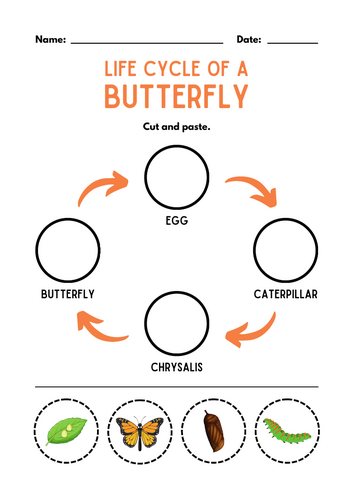 Life Cycle of a Reindeer Comprehension Worksheet Animals