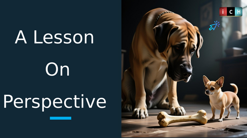 History Skills - Perspective