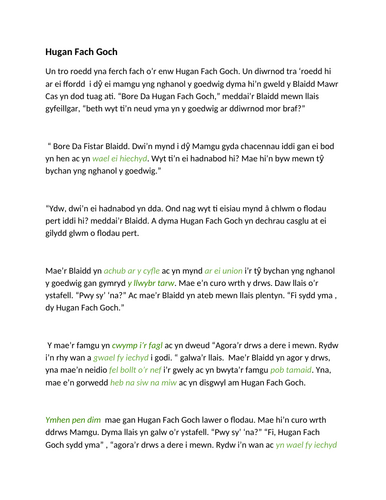 HUGAN FACH GOCH: STORI BLWYDDYN 1 (CYMRAEG IAITH GYNTAF)