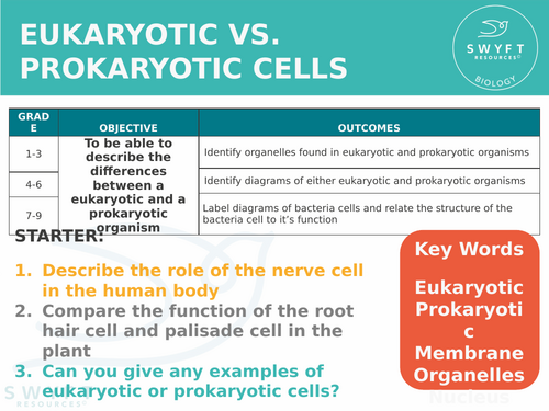 NEW Trilogy AQA GCSE (2016) Biology - Eukaryotic & Prokaryotic cells