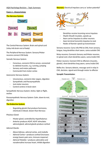 AQA Psychology - Biopsychology Topic Summary