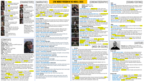 NEW! Eduqas A Level Film Studies - The Worst Person In The World