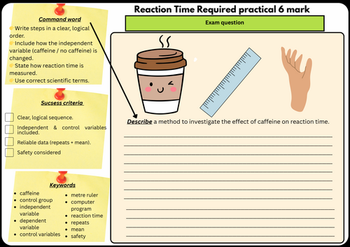 GCSE Biology Paper 2 Required Practical – Reaction Time (Caffeine & Ruler Drop Test)