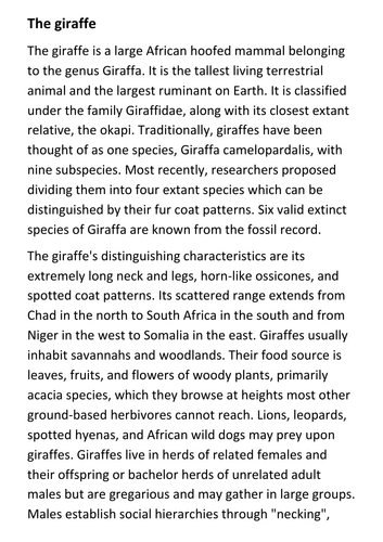 The giraffe Handout