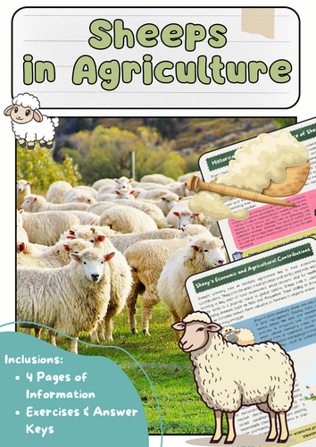 Sheep in Agriculture: Wool, Meat, Milk & Sustainability