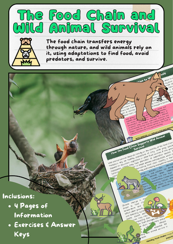 Food Chain & Wild Animal Survival – Ecosystem Balance