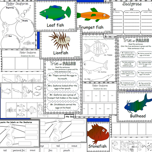 Mister Seahorse book companion and sequencing- Eric Carle