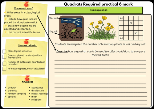 GCSE Biology 2 Required Practical – Quadrats (6 Mark Exam Question + Scaffolding)