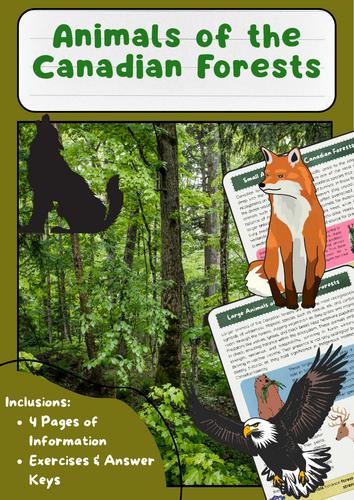 Animals of the Canadian Forests – Small and Large Species