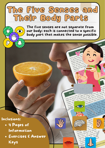 The Five Senses and Body Parts: Sight, Hearing, Taste, Smell, Touch