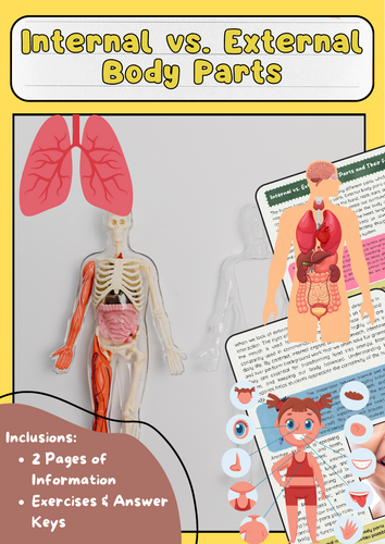 Internal vs. External Body Parts: Comparison and Functions