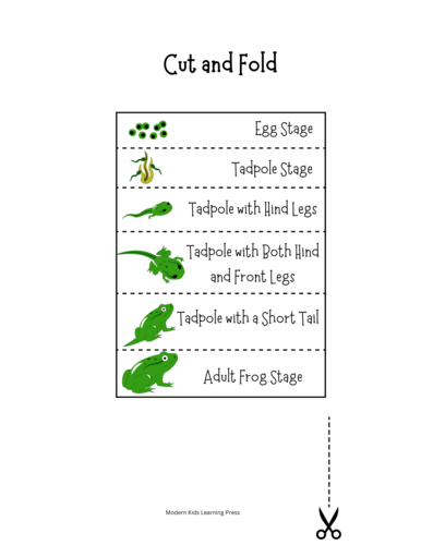 Frog Life Cycle Mini-Unit | Worksheets & Google Slides | Life Cycle of a Frog