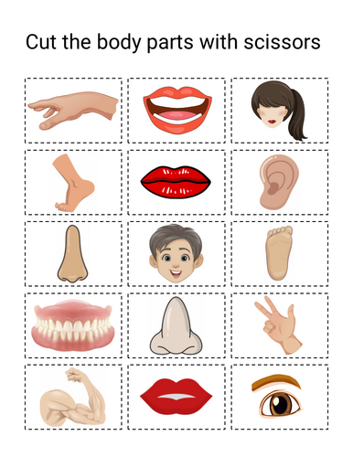 Body Parts Matching Activity for Special Education