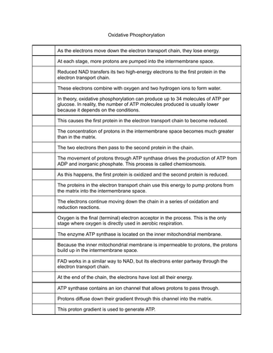 Oxidative Phosphorylation: A-level Respiration