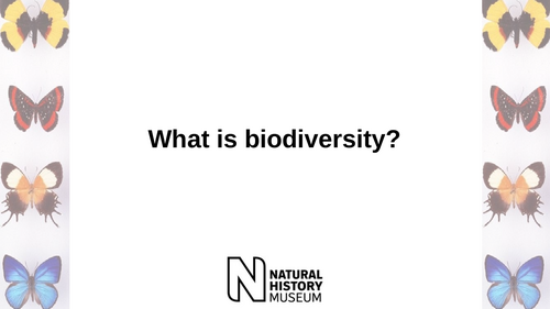 Teacher Primer: Biodiversity