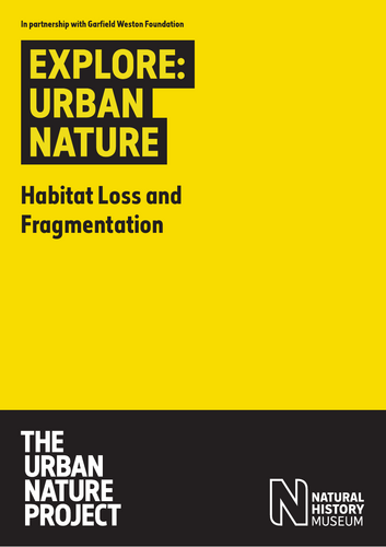 Habitat loss and fragmentation game