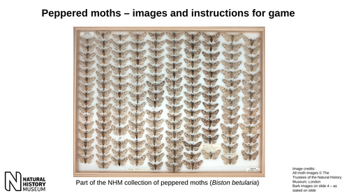 Species variation game