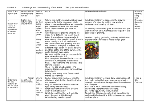 Understanding the World planning summer1