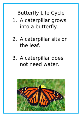 Butterfly Life Cycle EYFS