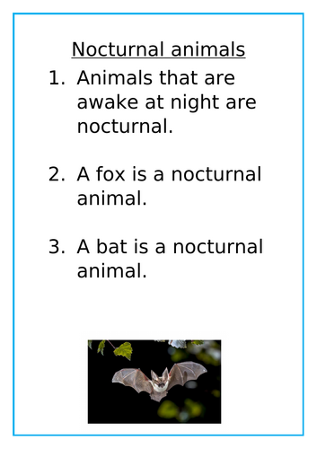 Nocturnal Animals EYFS lesson