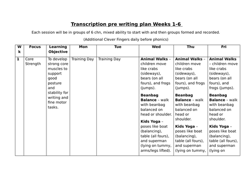 Pre writing plan for Transcription (Gross and Fine motor progressive)