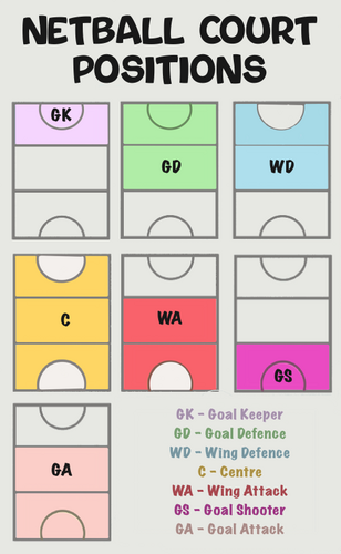 Netball Positions Poster
