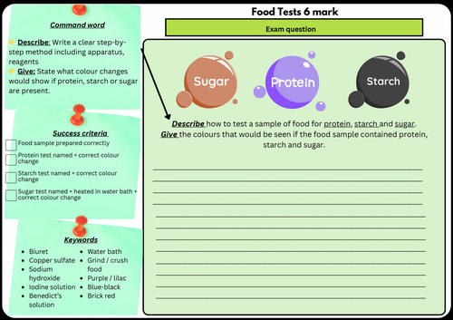 Food Tests – 6 Mark Exam Question | Scaffolded/Differentiated (Protein, Starch & Sugar)