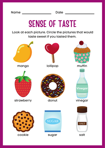 Science Activity - Sense of Taste Worksheet for Kids