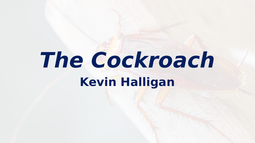 'The Cockroach' Kevin Halligan - CAIE IGCSE English Literature - Songs of Ourselves 2026