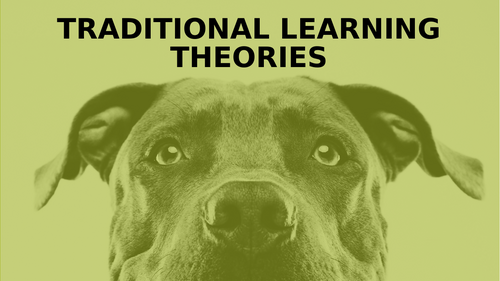 Classical conditioning lesson (AQA AS/Alevel Psychology)