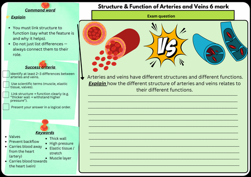 Arteries & Veins – GCSE Biology 6 Mark | Scaffolded/Differentiated