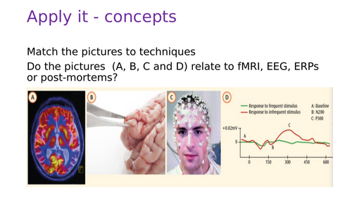 BioPsychology - Ways to investigate the brain (brain scanning techniques) - A Level Psychology