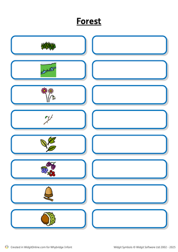 Forest Scavenger Hunt