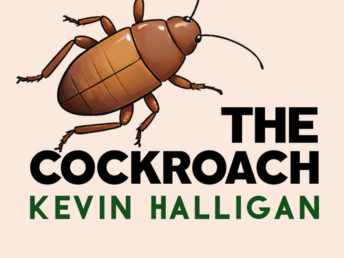 The Cockroach: Kevin Halligan