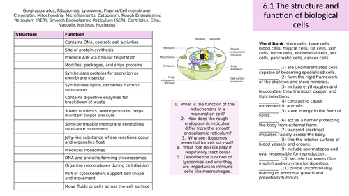 Cells and Tissues Revision T Level Animal Care and Management (animal science)