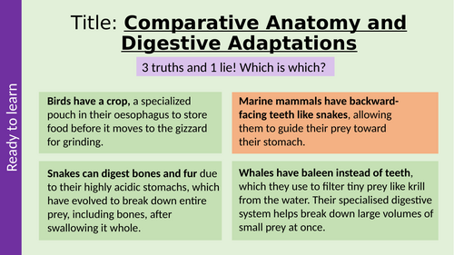 Digestive System Adaptations Across Taxa T Level Animal Management and Care