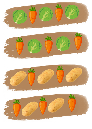 Harvest Vegetable Repeated Pattern Cards